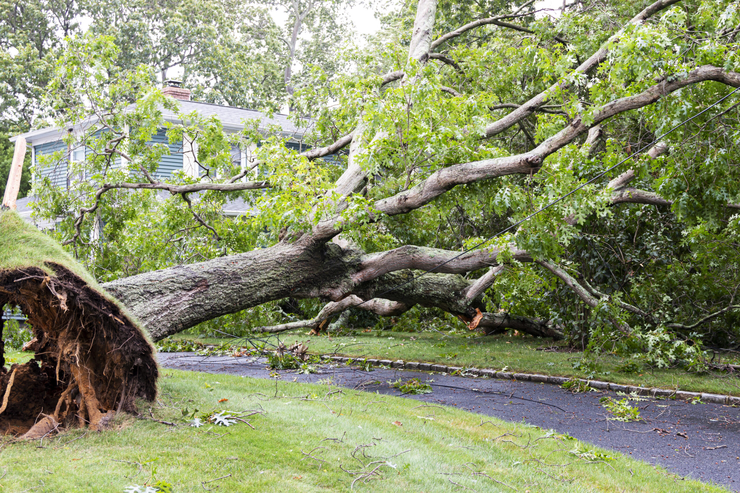 storm damage recovery